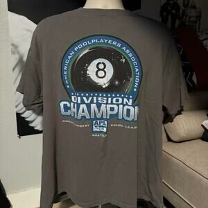 American poolplayers association division champion